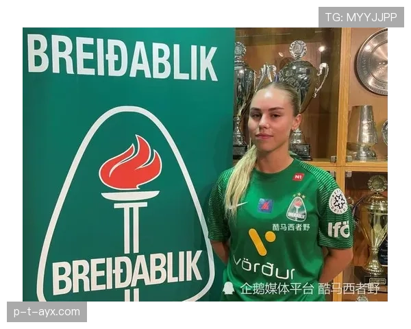 冰岛国脚转会英冠球队引关注