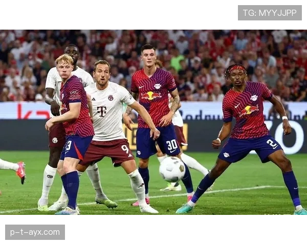 德甲新赛季引援聚焦年轻化与本土化，重塑球队未来格局