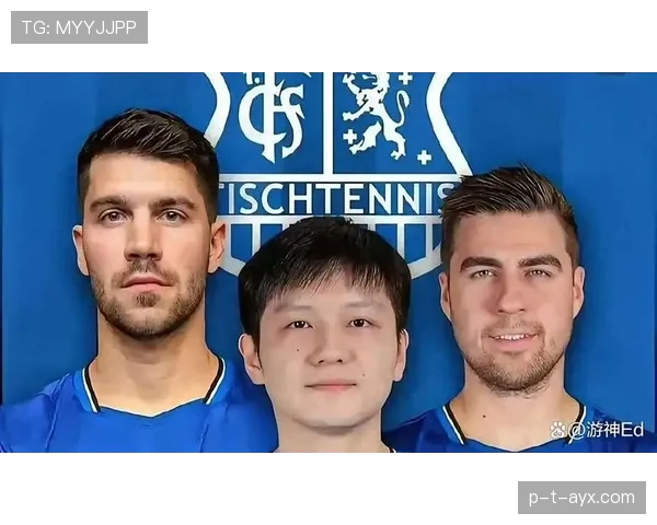 德甲新赛季前瞻：新星崛起助力球队阵容升级，备战表现引关注