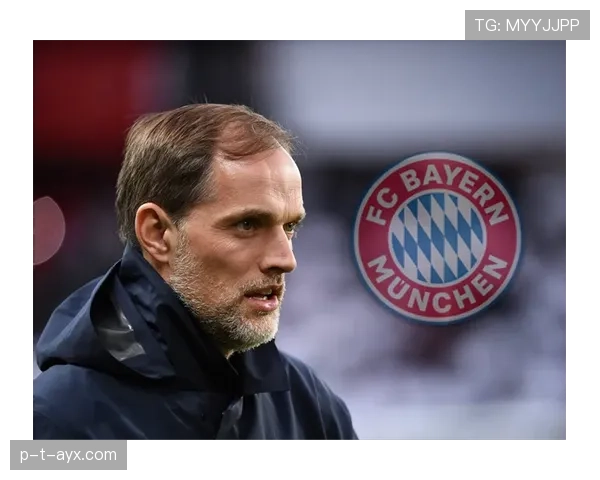 图赫尔战术体系持续优化，球队表现稳健引关注