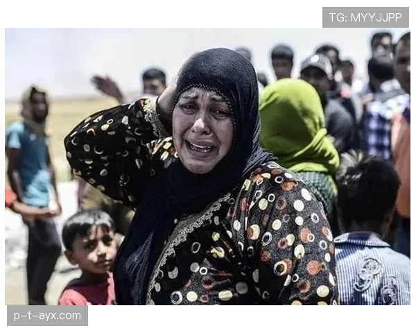 哥伦比亚队重建之路:重返巅峰的希望与挑战 哥伦比亚队重建之路:重返巅峰的希望与挑战