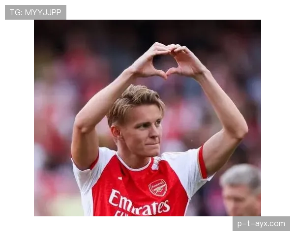 厄德高评价两极分化：战术角色与比赛影响力解析